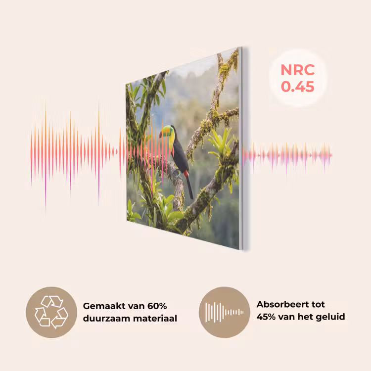 Toekan - Jungle - Natuur - Kleurrijk PET vilt klein -USP_NL