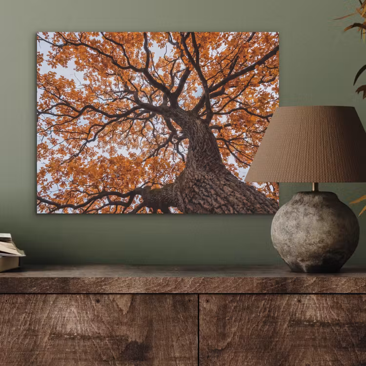 Boom - Bladerdak - Herfst - Oranje - Sfeervol PET vilt klein -sfeer2