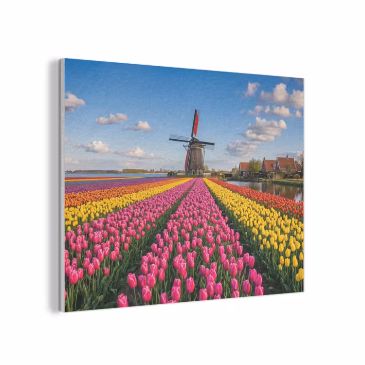Tulpen - Holland - Molen - Kleurrijk PET vilt klein -3d