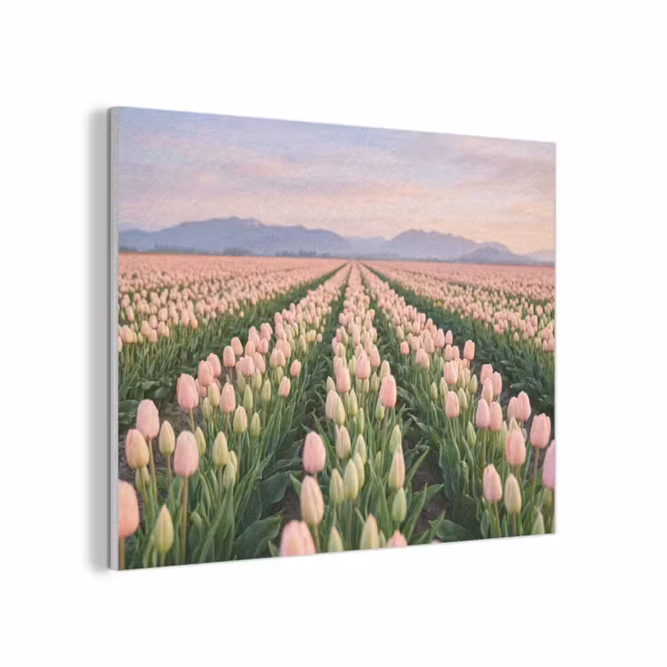 Tulpen - Landschap - Roze PET vilt klein -3d