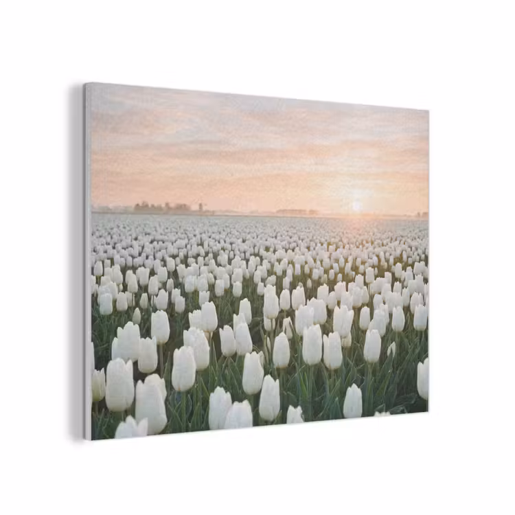 Tulpen - Landschap - Wit PET vilt klein -3d