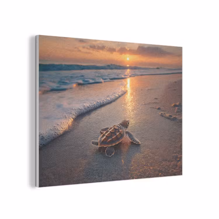 Schildpad - strand - Zonsondergang PET vilt klein -3d