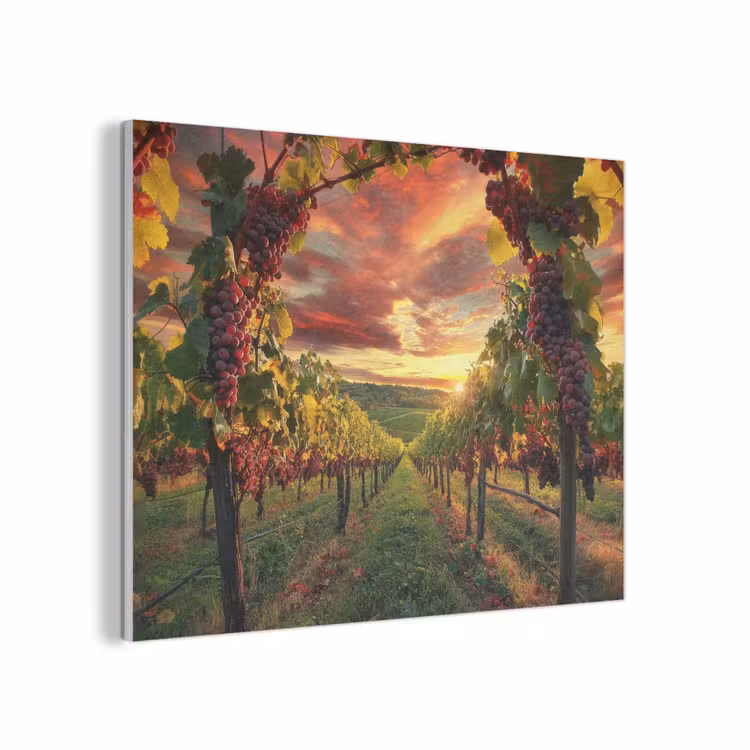 Wijngaard - Druiven - Zonsondergang PET vilt klein -3d