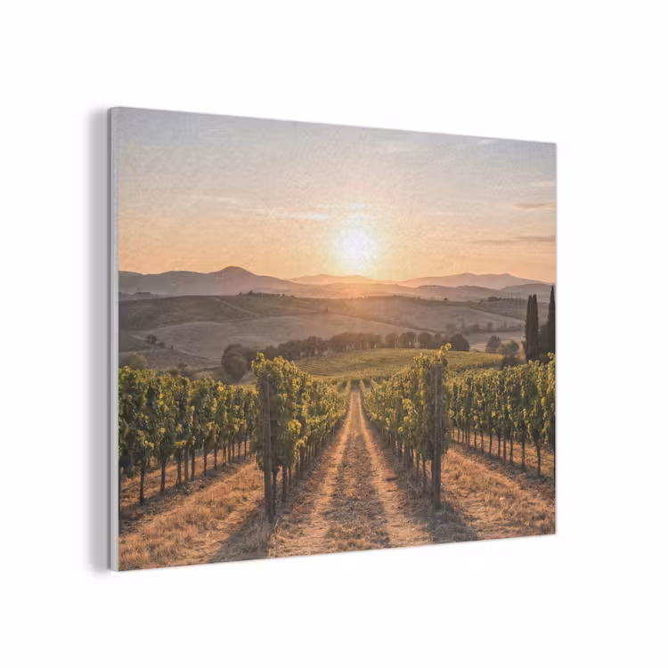Wijngaard - Zonsondergang - Landschap PET vilt klein -3d
