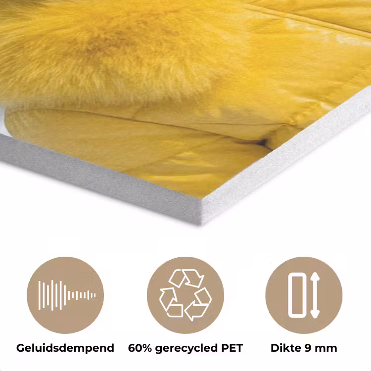 Vrouwen - Bananen - Geel PET vilt klein -closeup_NL
