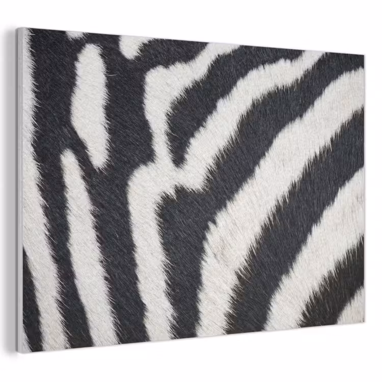 Zebra - Vacht - Klassiek - Zwart - Wit PET vilt klein -3d