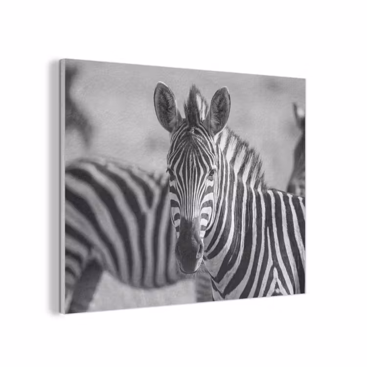 Zebra's - Zwart - Wit PET vilt klein -3d