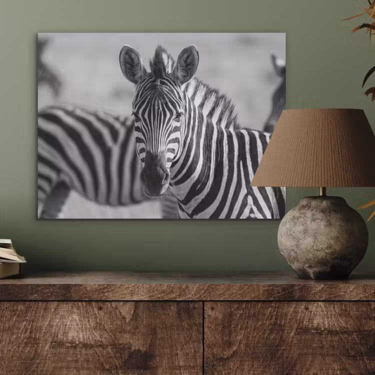 Zebra's - Zwart - Wit PET vilt klein -sfeer2