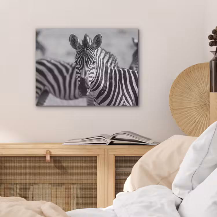 Zebra's - Zwart - Wit PET vilt klein -sfeer3