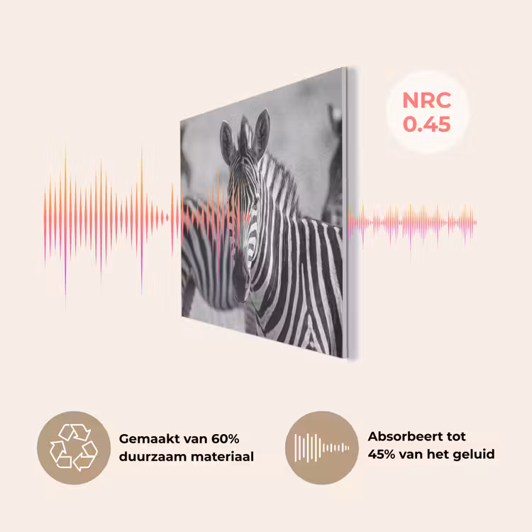 Zebra's - Zwart - Wit PET vilt klein -USP_NL