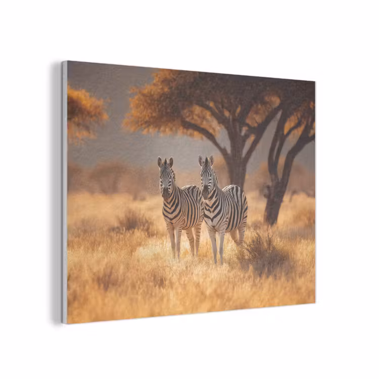 Zebra's - Savannelandschap - Gras PET vilt klein -3d
