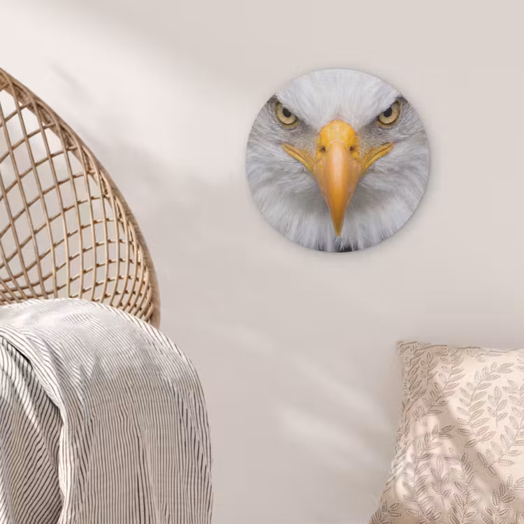 Amerikaans - Zeearend - Portret - Geel Akoestische PET Vilt - Rond klein -sfeer4