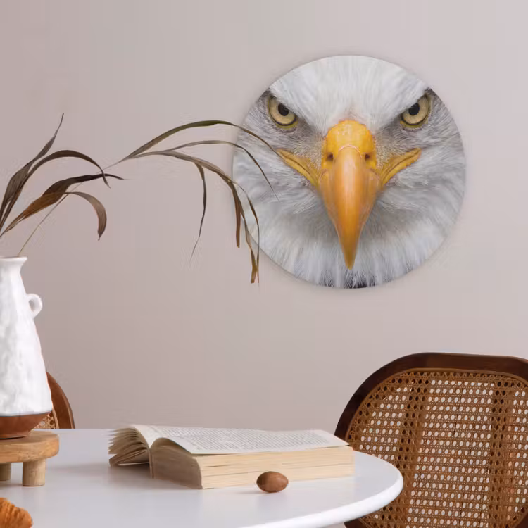 Amerikaans - Zeearend - Portret - Geel Akoestische PET Vilt - Rond klein -sfeer3