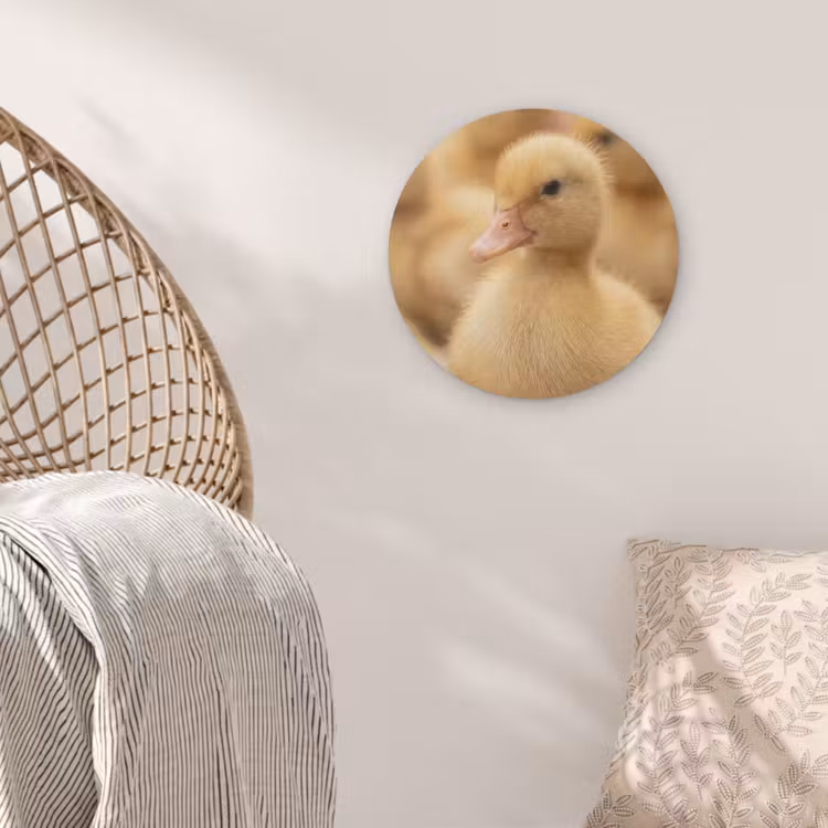 Pijltje - Eend - Natuur - Geel Akoestische PET Vilt - Rond klein -sfeer4
