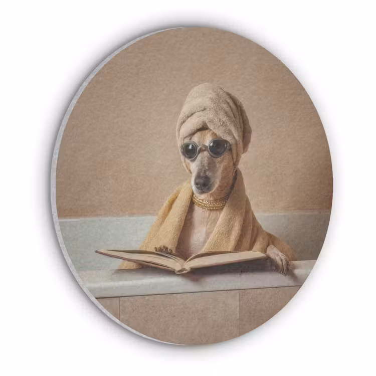 Bad - Hond - Boek - Zonnebril Akoestische PET Vilt - Rond klein -3d