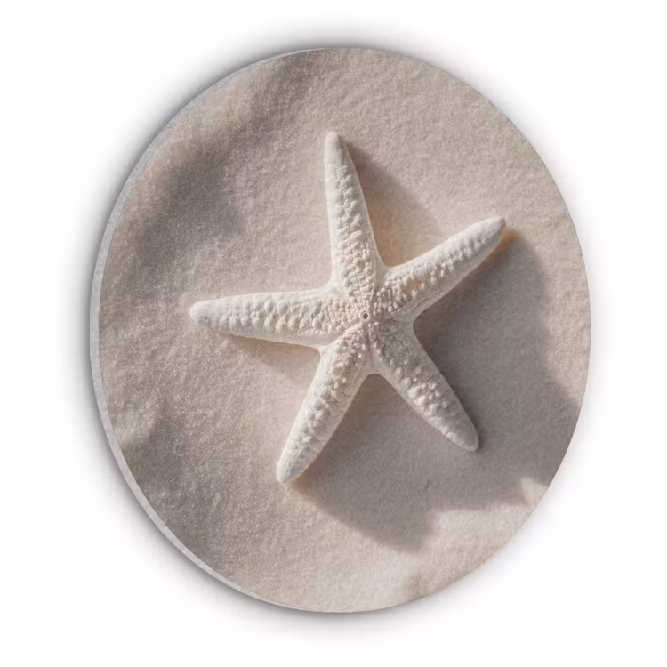 Strand - Zeester - Zand - Beige Akoestische PET Vilt - Rond klein -3d