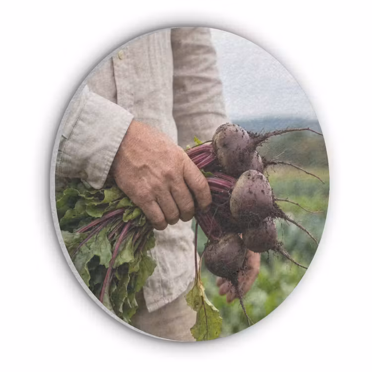 Bieten - Vers - Moestuin Akoestische PET Vilt - Rond klein -3d