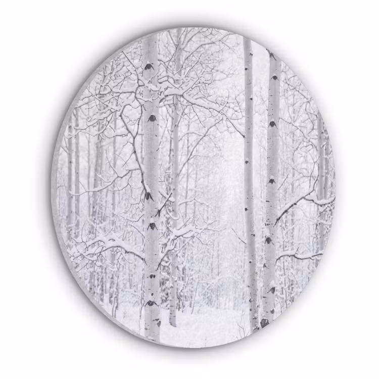 Berkenbomen - Sneeuw - Winter - Bos - Wit Akoestische PET Vilt - Rond klein -3d