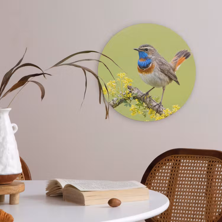Vogel - Tak - Natuur - Kleurrijk Akoestische PET Vilt - Rond klein -sfeer3