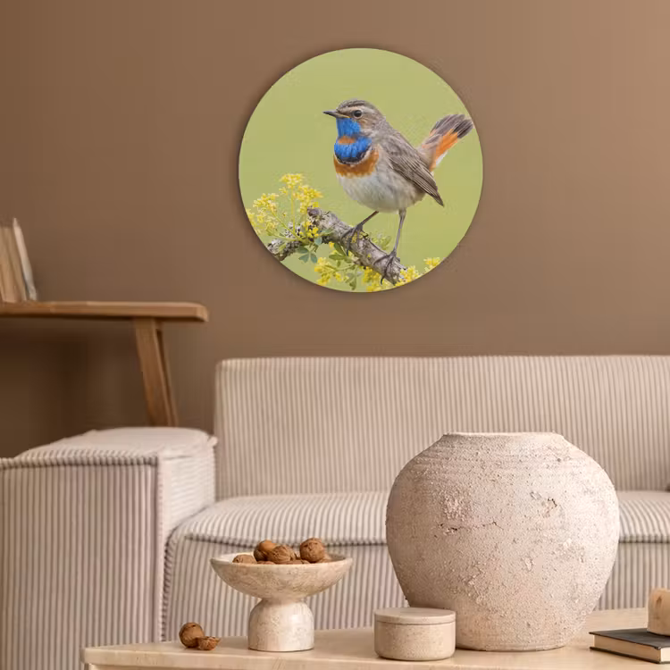 Vogel - Tak - Natuur - Kleurrijk Akoestische PET Vilt - Rond klein -sfeer1