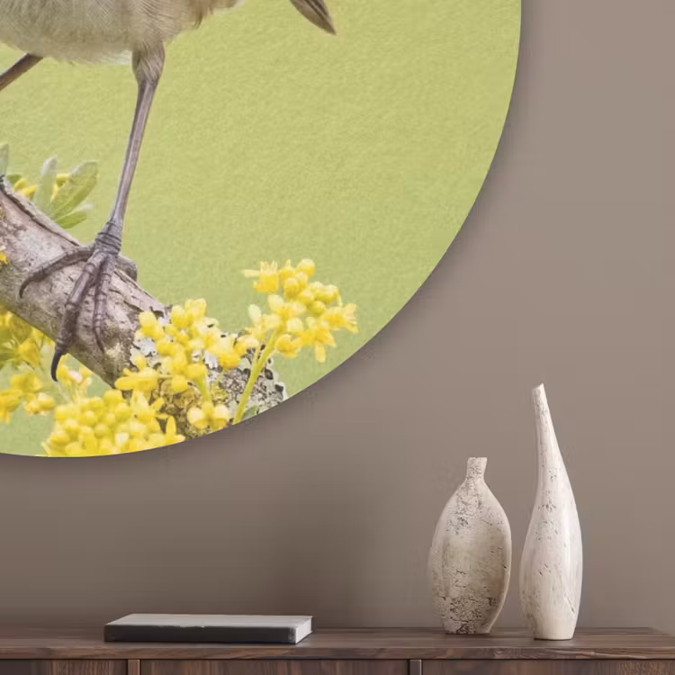 Vogel - Tak - Natuur - Kleurrijk Akoestische PET Vilt - Rond klein -sfeer5_closeup