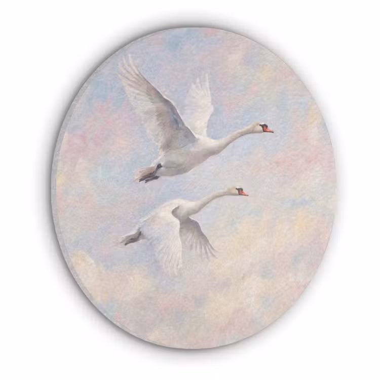 Vogel - Vliegend - Lucht - Modern - Pastel Akoestische PET Vilt - Rond klein -3d