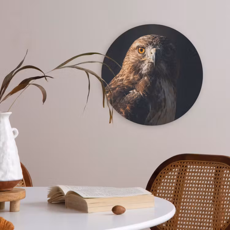 Roofvogel - Buizerd - Bruin Akoestische PET Vilt - Rond klein -sfeer3