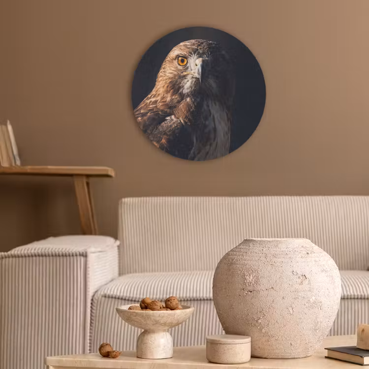 Roofvogel - Buizerd - Bruin Akoestische PET Vilt - Rond klein -sfeer1