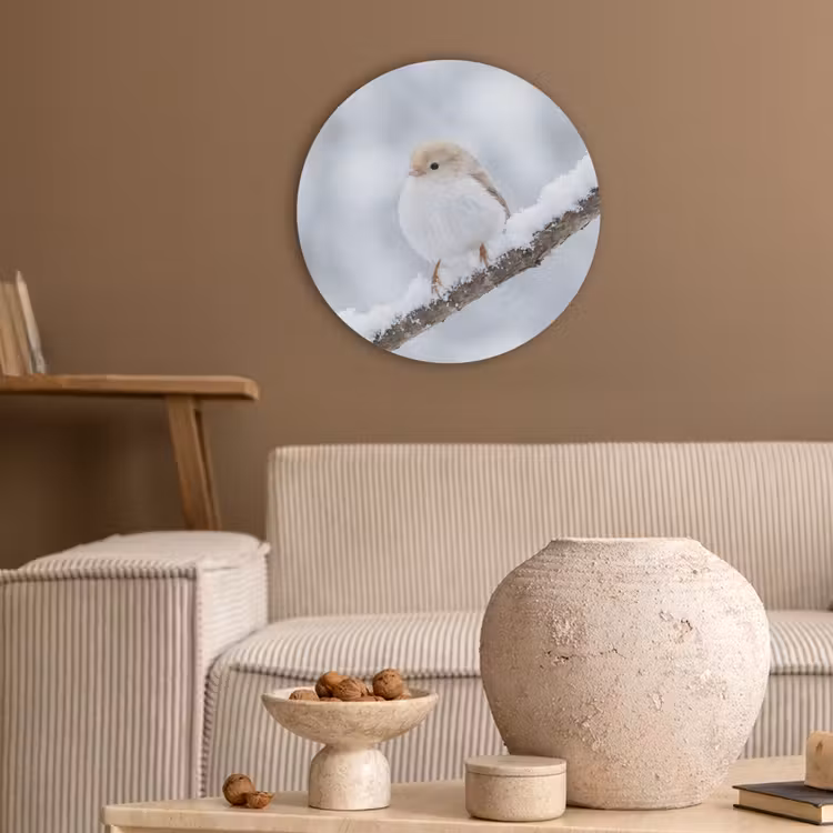 Vogeltje - Sneeuw - Tak - Winter - Zacht Akoestische PET Vilt - Rond klein -sfeer1