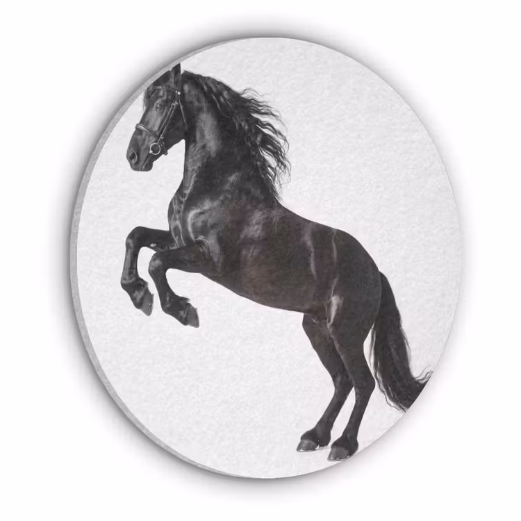 Zwart - Paard - Portret Akoestische PET Vilt - Rond klein -3d