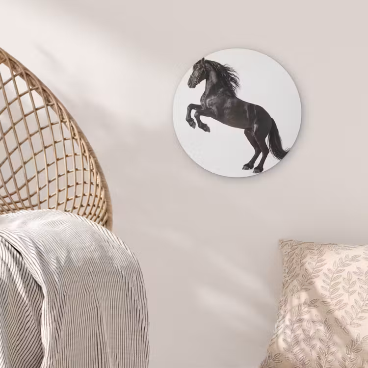 Zwart - Paard - Portret Akoestische PET Vilt - Rond klein -sfeer4