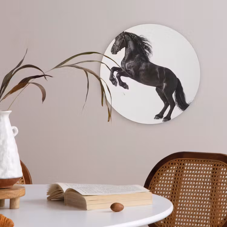 Zwart - Paard - Portret Akoestische PET Vilt - Rond klein -sfeer3