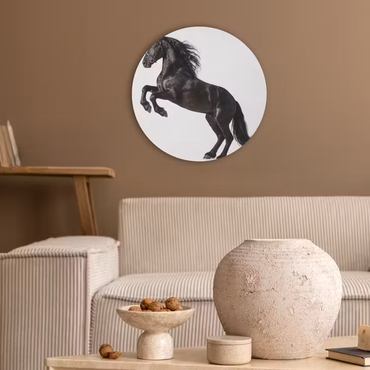Zwart - Paard - Portret Akoestische PET Vilt - Rond klein -sfeer1