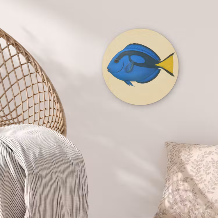 Blauw - Dory - Vis - Staartvin Akoestische PET Vilt - Rond klein -sfeer4