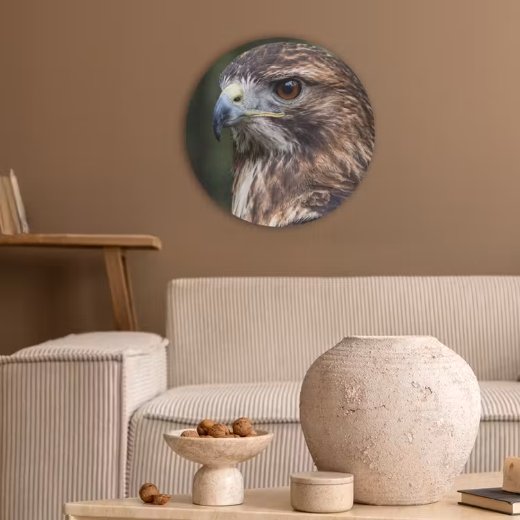 Buizerd - Roofvogel - Natuur - Bruin Akoestische PET Vilt - Rond klein -sfeer1