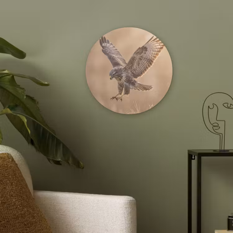 Buizerd - Roofvogel - Natuur - Bruin Akoestische PET Vilt - Rond klein -sfeer2