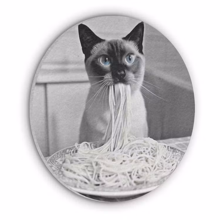 Kat - Siamees - Zwart Wit - Schattig - Dieren Akoestische PET Vilt - Rond klein -3d