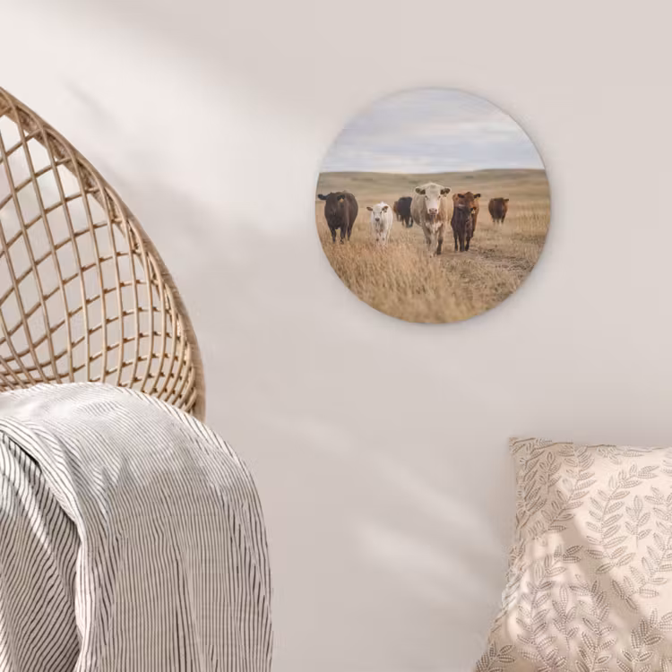 Runderen - Kudde - Landschap - Weide - Rustig Akoestische PET Vilt - Rond klein -sfeer4