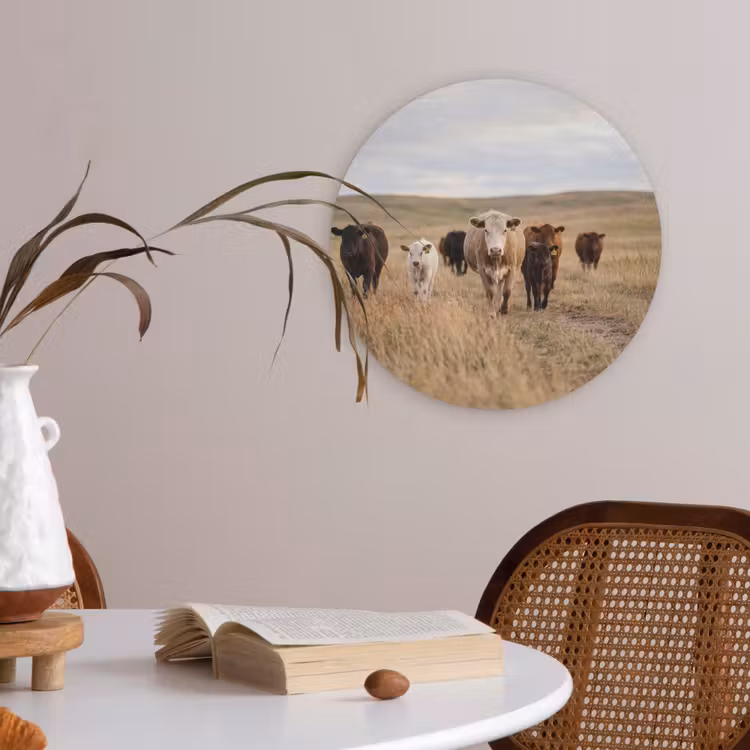 Runderen - Kudde - Landschap - Weide - Rustig Akoestische PET Vilt - Rond klein -sfeer3