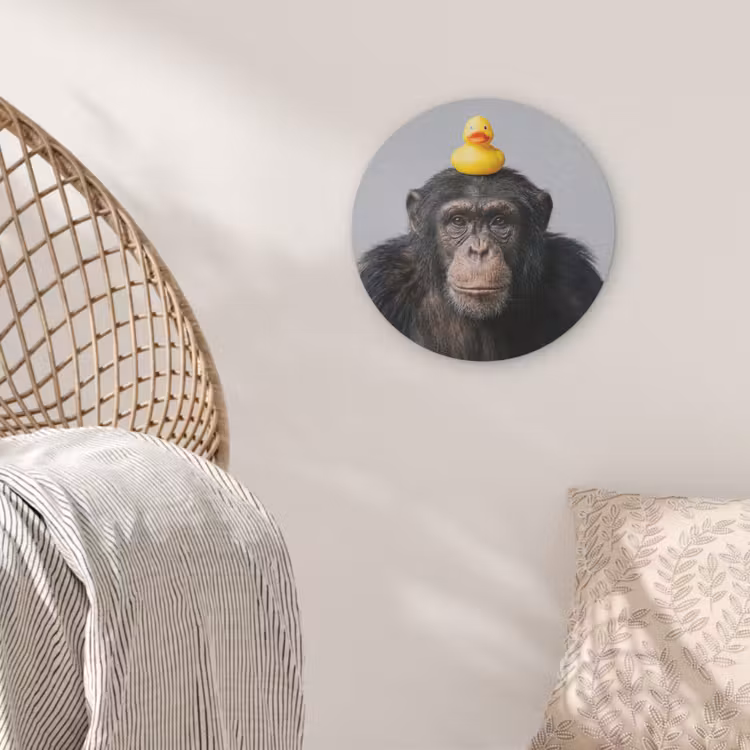 Chimpansee - Badeend - Grijs Akoestische PET Vilt - Rond klein -sfeer4
