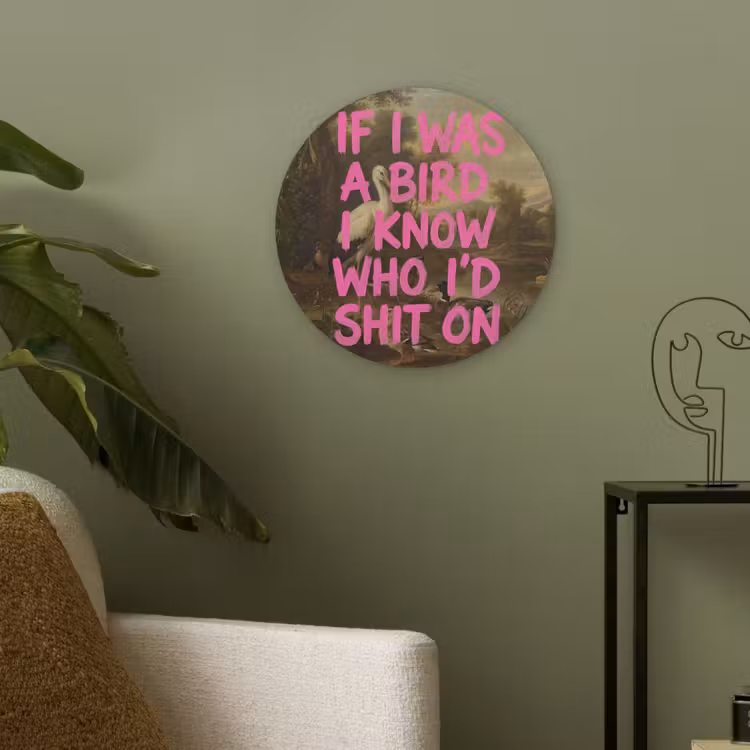 Klassiek - Humor - Roze Akoestische PET Vilt - Rond klein -sfeer2