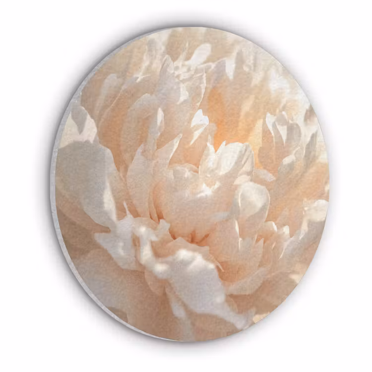 Close up - Pioenroos - Lichtroze Akoestische PET Vilt - Rond klein -3d
