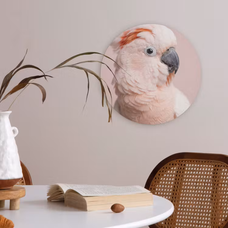 Kaketoe - Portret - Roze Akoestische PET Vilt - Rond klein -sfeer3
