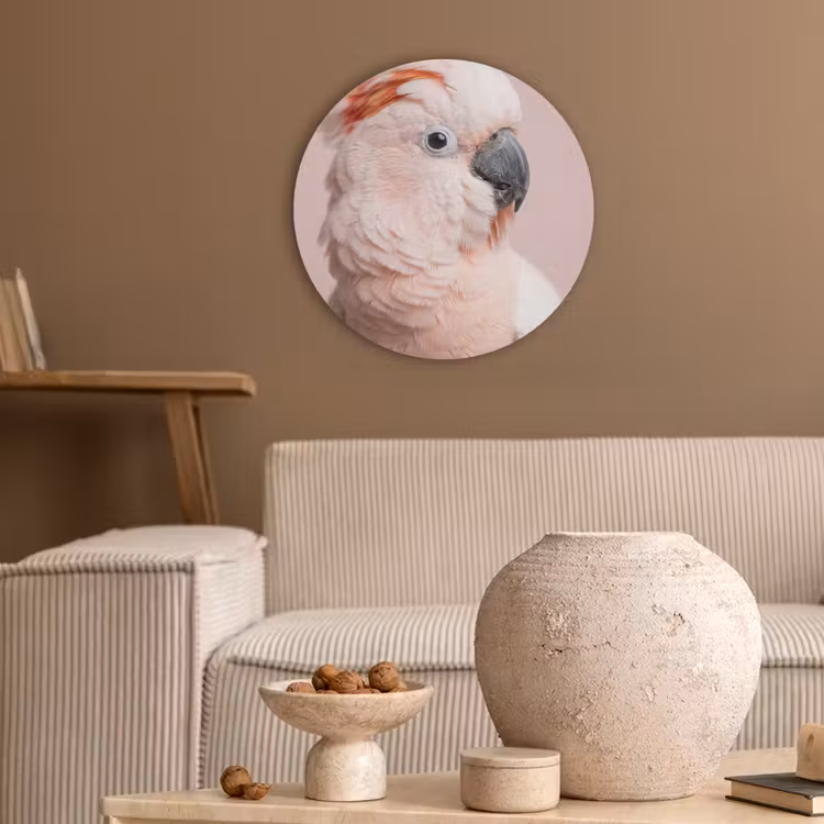 Kaketoe - Portret - Roze Akoestische PET Vilt - Rond klein -sfeer1