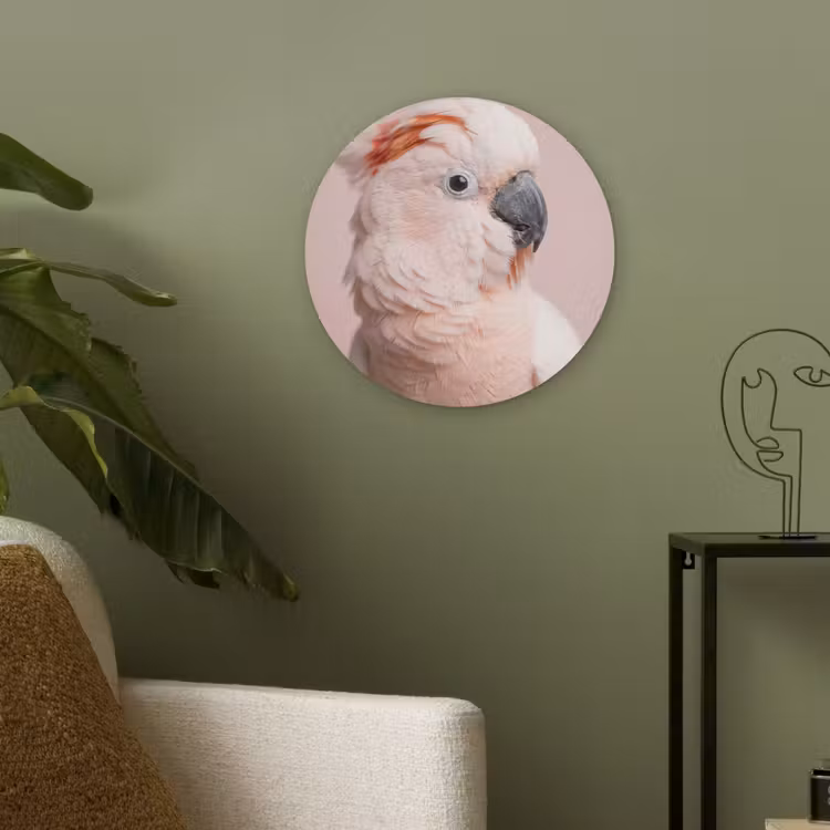 Kaketoe - Portret - Roze Akoestische PET Vilt - Rond klein -sfeer2