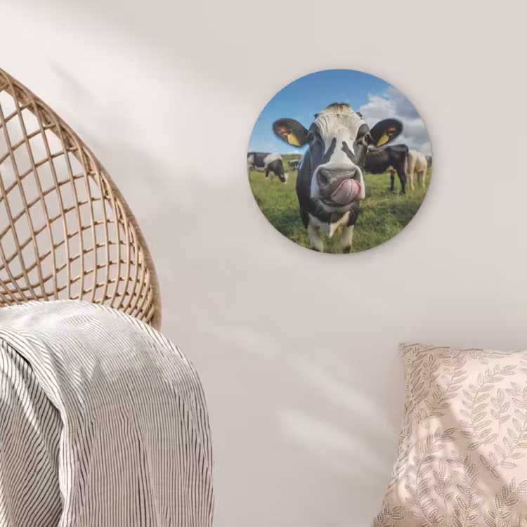 Koe - Tong - Weide Akoestische PET Vilt - Rond klein -sfeer4
