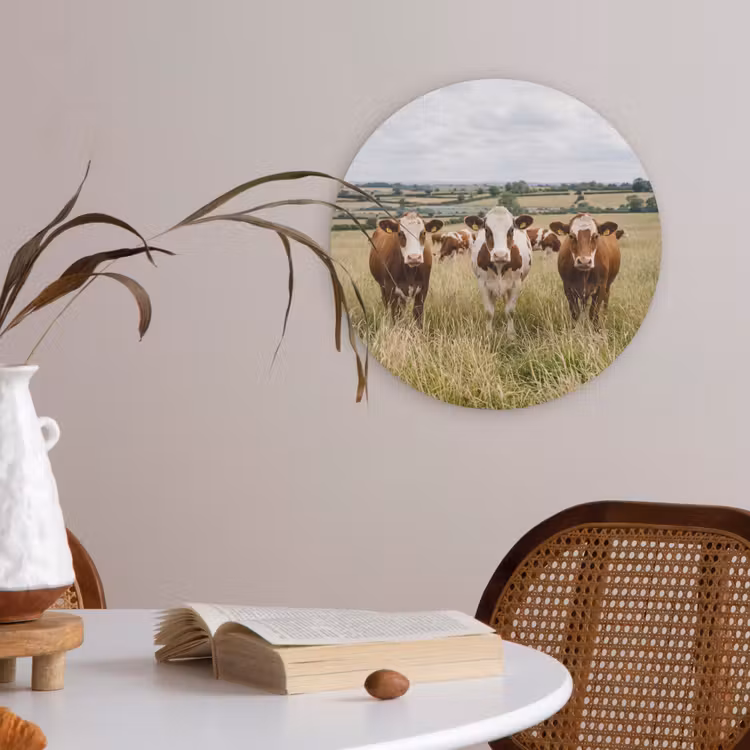 Koeien - Portret - Weide - Boerderij - Nieuwsgierig Akoestische PET Vilt - Rond klein -sfeer3