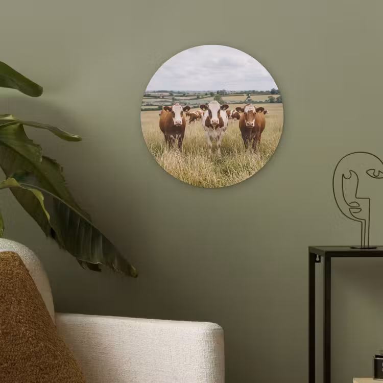 Koeien - Portret - Weide - Boerderij - Nieuwsgierig Akoestische PET Vilt - Rond klein -sfeer2