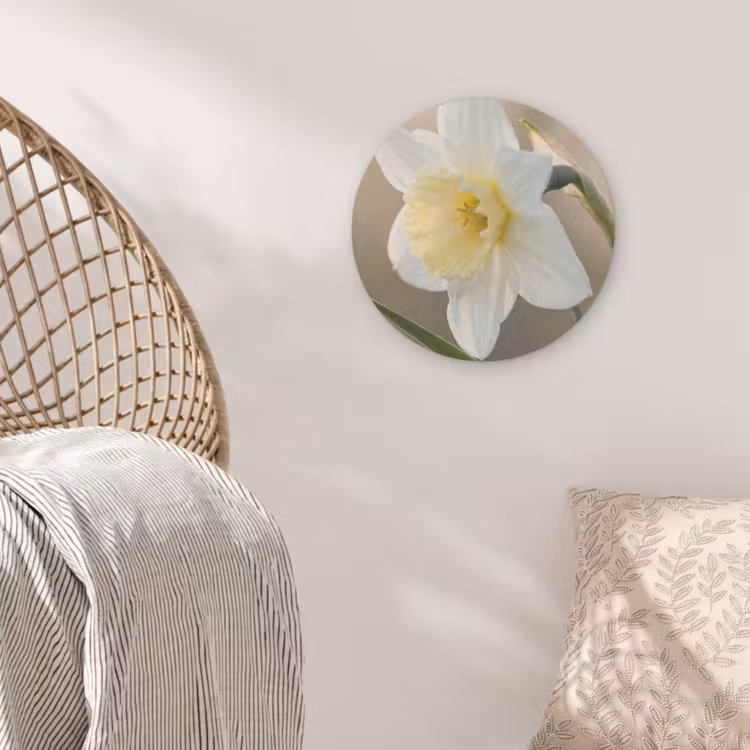 Narcis - Bloem - Minimalistisch Akoestische PET Vilt - Rond klein -sfeer4