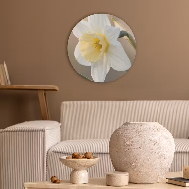 Narcis - Bloem - Minimalistisch Akoestische PET Vilt - Rond klein -sfeer1